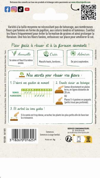 Fleurs - Pois de Senteur Buisson Varié - MEDIA_PACKAGING_VERSO